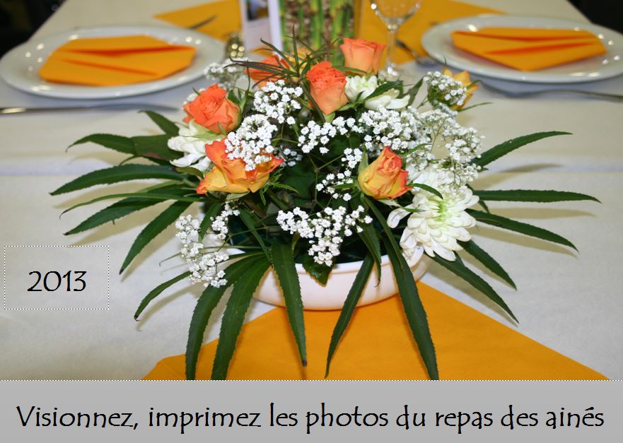 aines2013